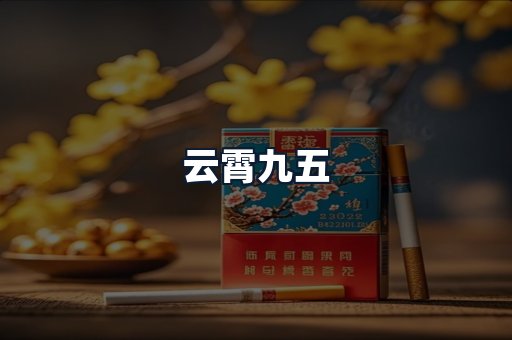 云霄九五